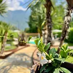 Apartman Valcamonica -